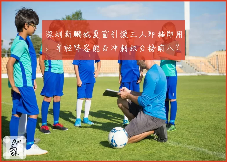 深圳新鹏城夏窗引援三人即插即用，年轻阵容能否冲刺积分榜前八？