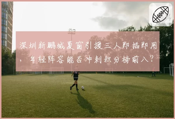 深圳新鹏城夏窗引援三人即插即用，年轻阵容能否冲刺积分榜前八？